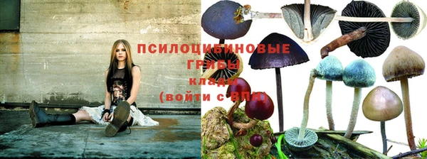 apvp Заводоуковск
