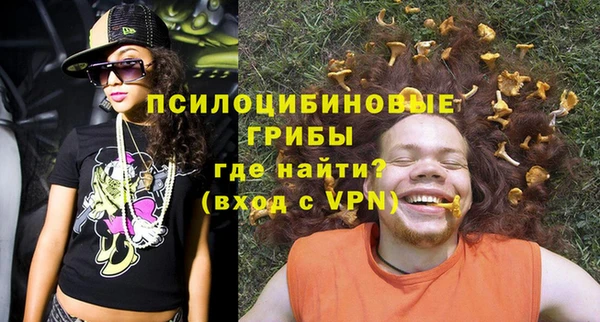 apvp Заводоуковск